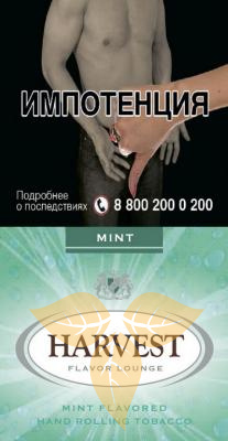 HARVEST MINT (x 30 gr) фото