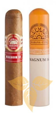 Сигары H.UPMANN MAGNUM 54 Tubos (1 шт.) фото