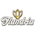 Flandria фото