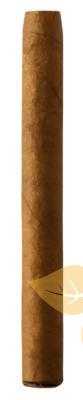 Сигары Villiger Premium №8 (1 шт.) фото