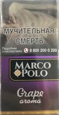 MARCO POLO GRAPE SP 100 (в твердой пачке) фото