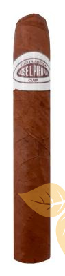 Сигары JOSE L.PIEDRA PETIT CAZADORES (1 шт.) фото