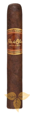 Сигары Flor De Oliva Maduro Robusto* 25 фото