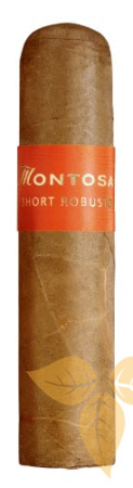 Сигары Montosa Short Robusto 20 фото