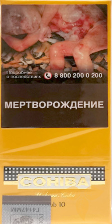 Сигариллы Cohiba Club фото