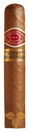 Сигары R.y J. SHORT CHURCHILLS (1 шт.) фото