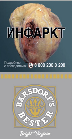 KAPT'N BESTER BRIGHT VIRGINIA (х 30gr) фото