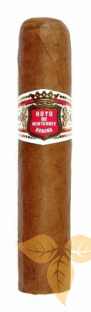 HOYO DE MONTER. PETIT ROBUSTO (1 шт.) фото