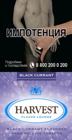 HARVEST BLACK CURRANT (x 30 gr) фото