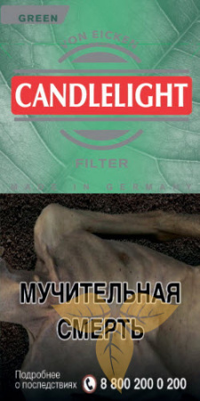 CANDLELIGHT FILTER GREEN (х10) фото