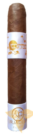 PRINCIPLE CIGARS Accomplice Classic White Band Robusto фото