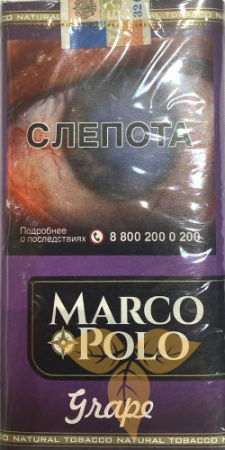 MARCO POLO GRAPE SP 100 фото