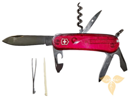 2.3803.C Нож перочинный VICTORINOX Evolution 10, 85 мм, 13 функций
